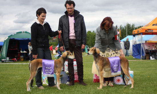 Hani BOS and Hector BIS-pentu